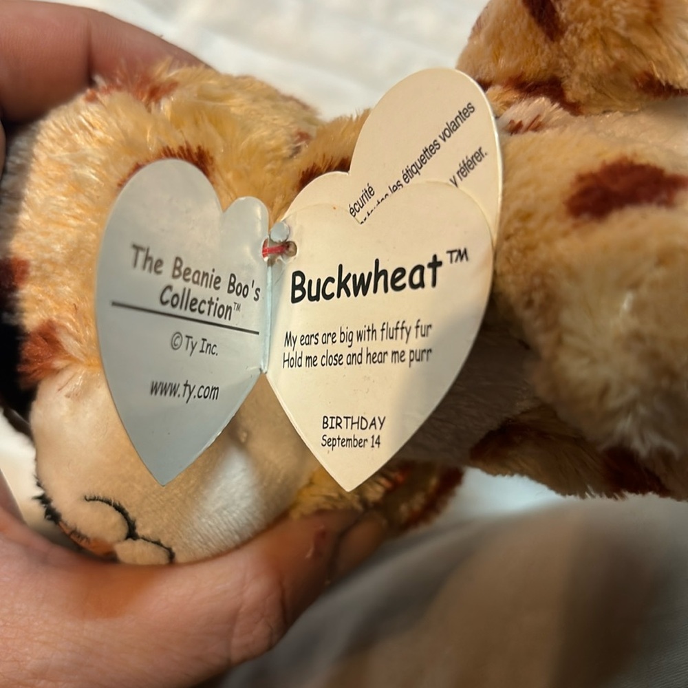 2015 Beanie Boos Ty Buckwheat 6” September 14 EUC - Picture 6 of 8